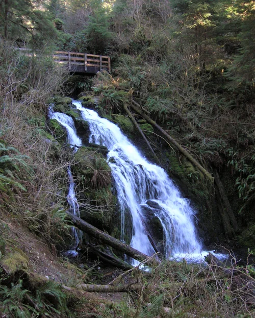 Enchanted Valley, 1000 Waterfalls — Waterfall Trail